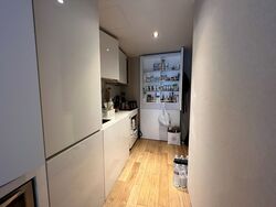 Skysuites@Anson (D2), Apartment #349699391